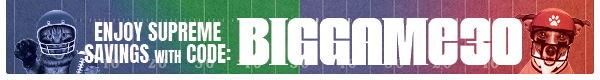 BANNER - BIG GAME