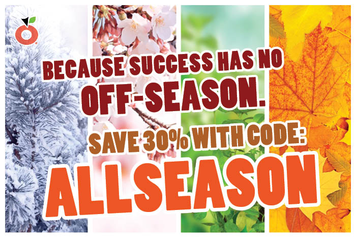 FEATURE - ALLSEASON