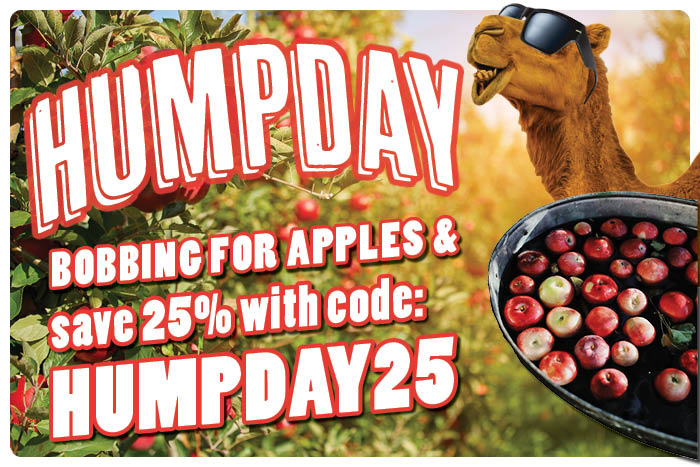 FEATURE - HUMPDAY
