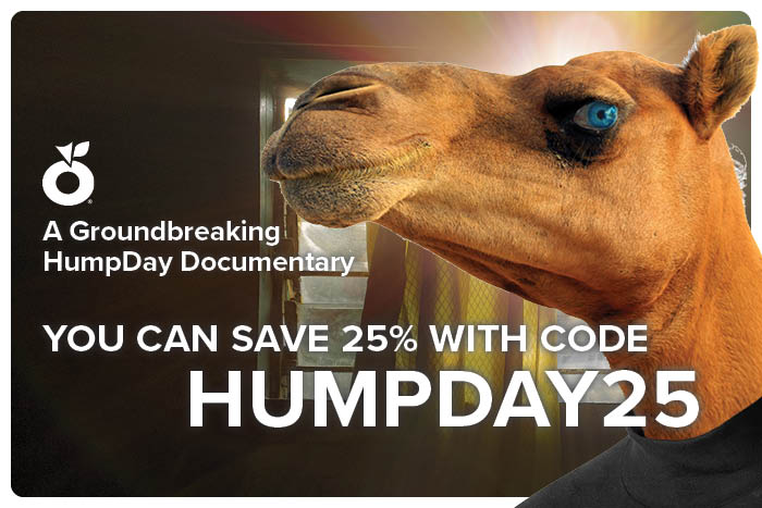 FEATURE - HUMPDAY